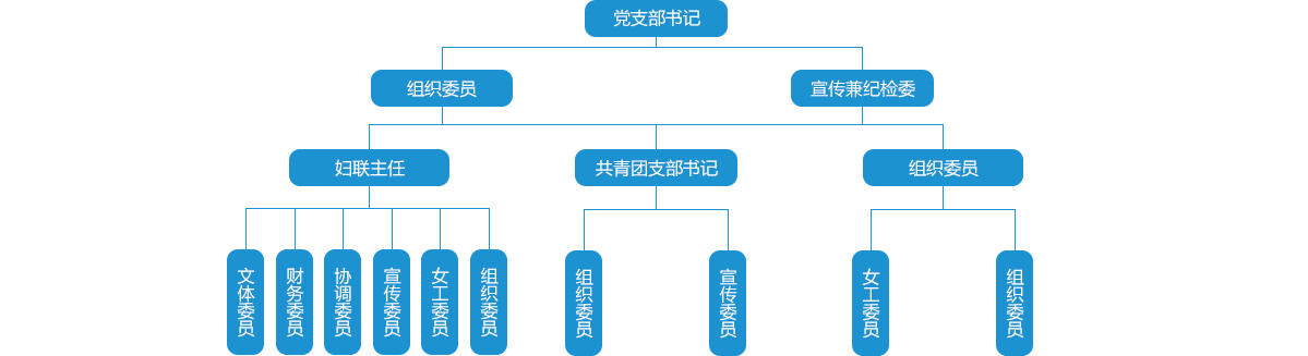 公司党支部