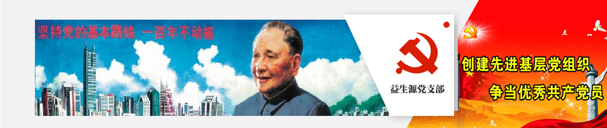 公司党支部